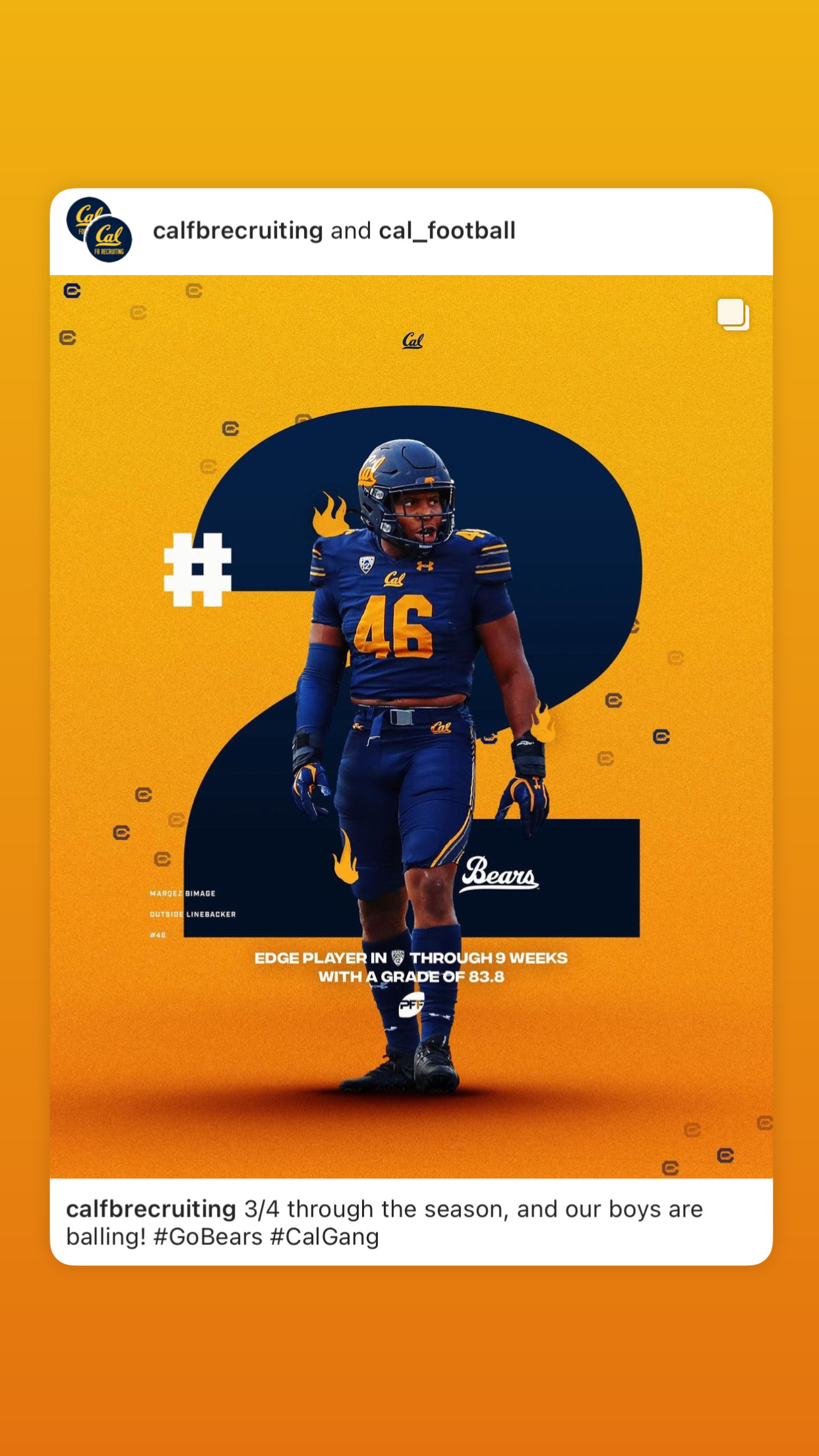 California Football graphic naming Marqez Bimage, number 46, a top-graded Pac-12 EDGE player through nine weeks